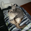 Victoria und Nico von Fam_ Lampert aus G__fis 5.jpg