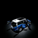 Mini Baumgartner 5.jpg