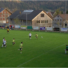 20110409_bizau_sulzberg_017_luc.JPG
