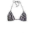 Hot-Zebra.jpg