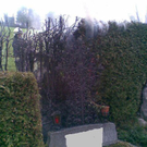1302778645_3_b.jpg