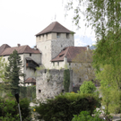 IMG_4524.jpg