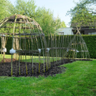 Weidenhaus Fu__ach 15_04_2011 4_jpg-1302861186