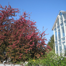 IMG_7481_JPG-1302867188