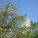 IMG_7509_JPG-1302867996