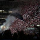 normal_15042011meisterfeierredbullaktivnews_44.jpg