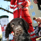 normal_16042011wasserrettungwm2aktivnews_08.jpg