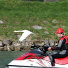 normal_16042011wasserrettungwm2aktivnews_23.jpg