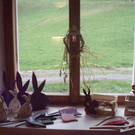 P4110021.JPG