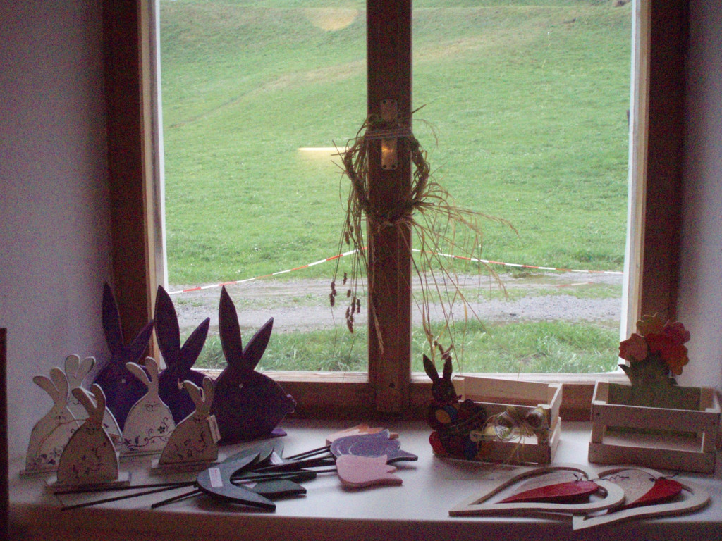 P4110021.JPG