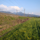 DSC03613_JPG-1302992084