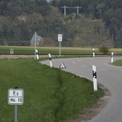 normal_16042011vumue19fibaktivnews_04.jpg