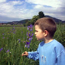 Natur zKobla81.jpg