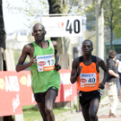 file5z96j0ope921myetr8b8.jpg