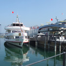 DSCF9275.JPG