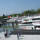DSCF9295.JPG