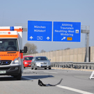 17042011vua94fibaktivnews_12.jpg