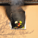 17042011brandfibaktivnews_12.jpg