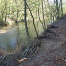 DSC_0280.JPG