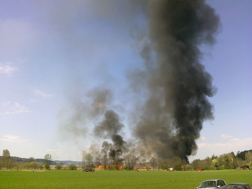 normal_17042011schilfbrandwagingerseewhaktivnews_11.jpg