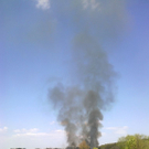normal_17042011schilfbrandwagingerseewhaktivnews_03.jpg