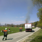 normal_17042011schilfbrandwagingerseewhaktivnews_19.jpg
