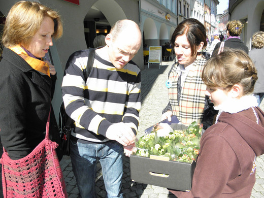 P4160587 - Kopie.JPG