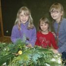 DSCW1181.JPG