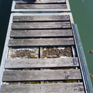 IMGP1470klein.jpg