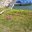 IMGP1467klein.jpg
