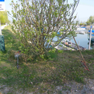 IMGP1447klein.jpg