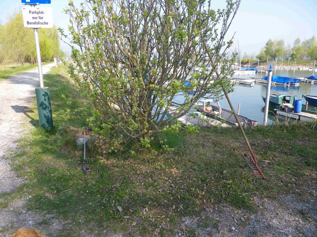 IMGP1447klein.jpg