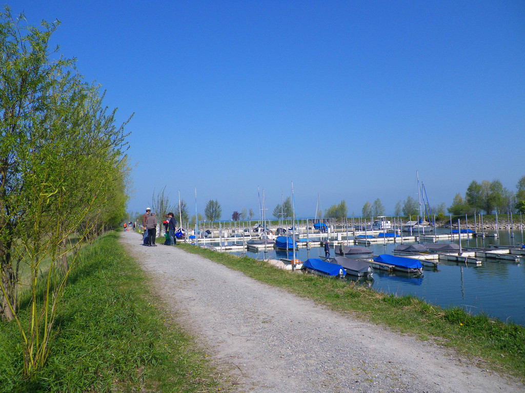 IMGP1490klein.jpg