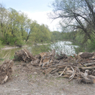 kalb2_jpg-1303114769
