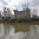kalb6_jpg-1303114805