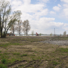 kalb10_jpg-1303114845