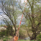 kalb12_jpg-1303114878