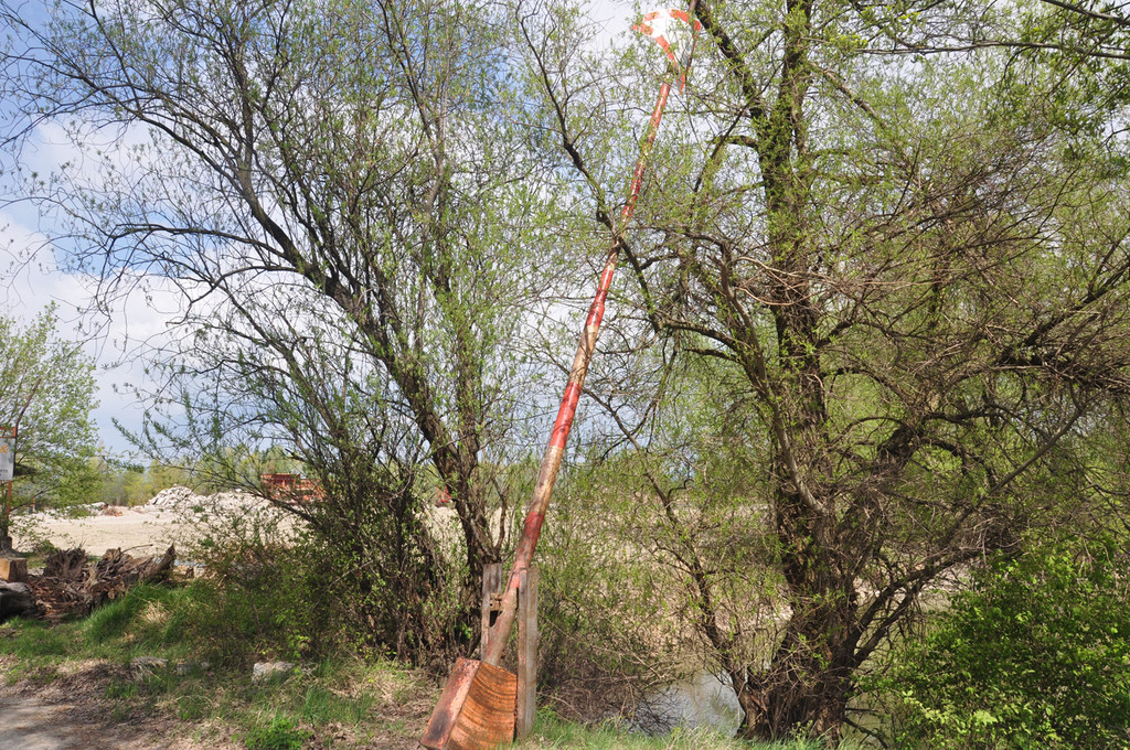 kalb12_jpg-1303114878