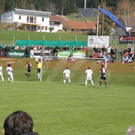 P4170076_JPG-1303118657