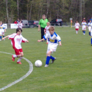 160420111008_jpg-1303119877