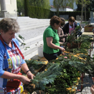 IMG_6944 _Large__JPG-1303119993