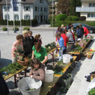 IMG_6945 _Large__JPG-1303119997
