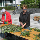 IMG_6966 _Large__JPG-1303120020