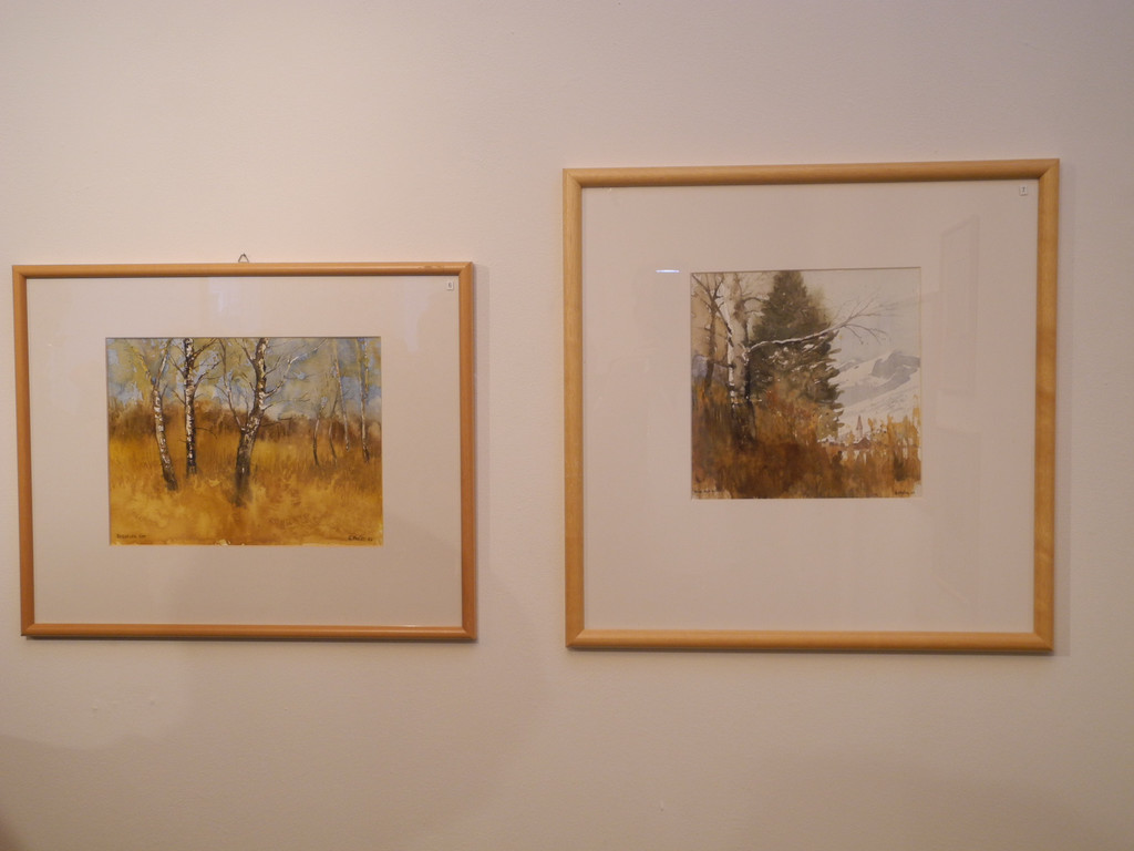 DSCN5027_JPG-1303129080