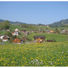 DSC00744.JPG