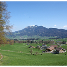 DSC01550.JPG