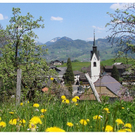 DSC01925 NEU.jpg
