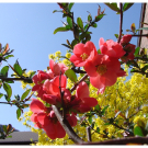 DSC04327.JPG
