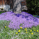 DSC04411.JPG