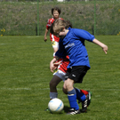 213_bearbeitet-1_jpg-1303148634
